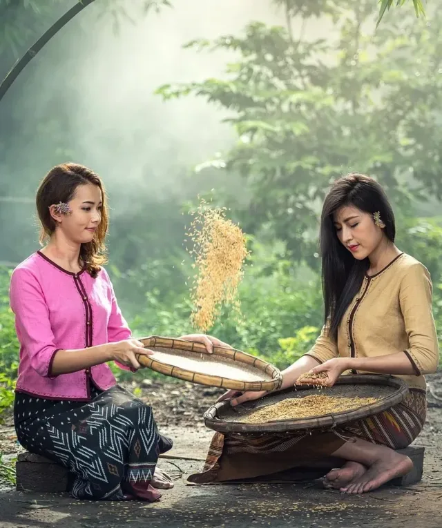 Asian women sifting rice