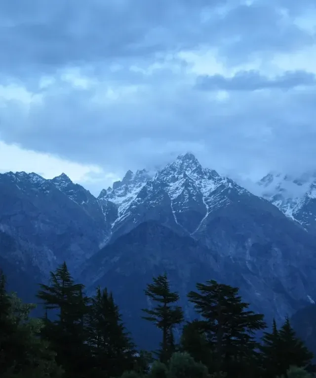 green forest and snowy mountains