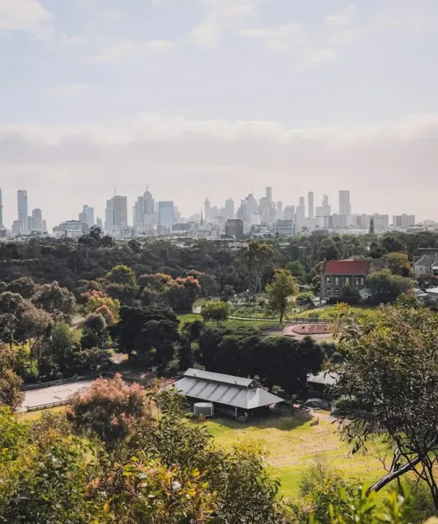 green trees and city buildings during daytime