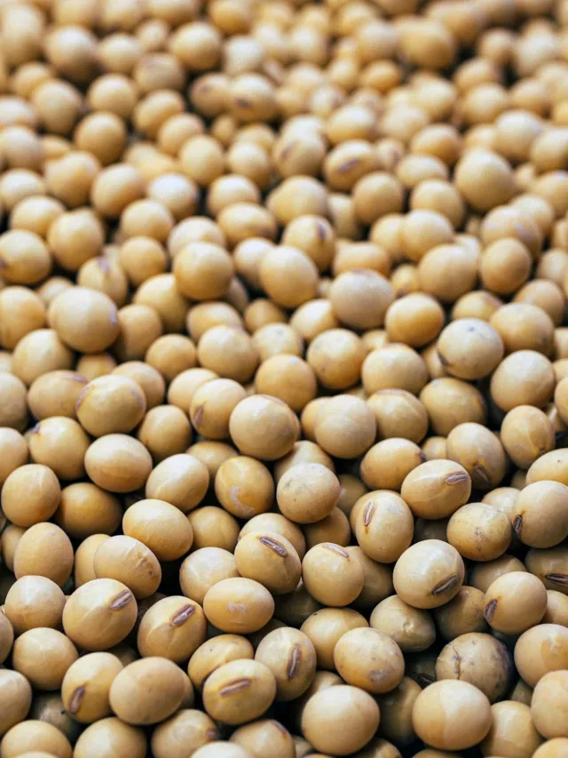 What are The Health and Nutritional Benefits of Soybeans ?